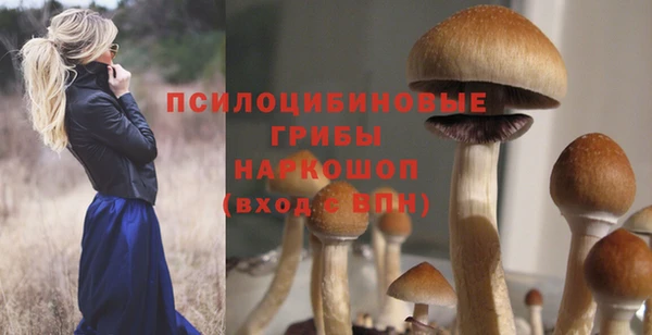 молекула духа Лабытнанги
