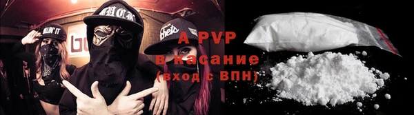 молекула духа Лабытнанги