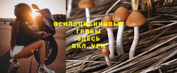 молекула духа Лабытнанги