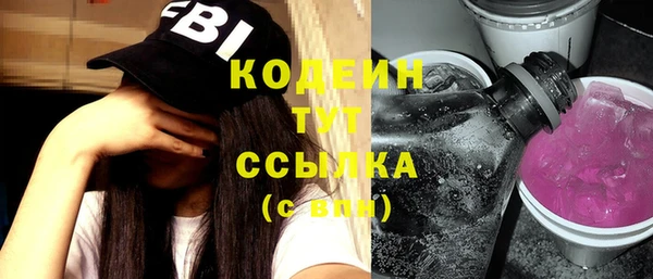 молекула духа Лабытнанги