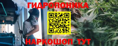 2c-b Абакан