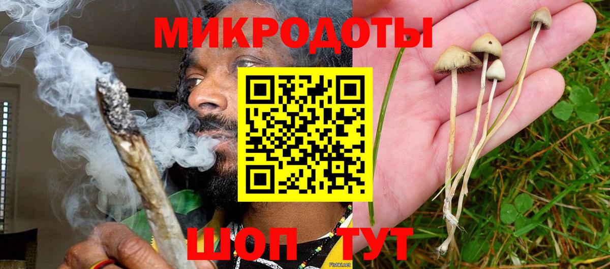 Приморско-Ахтарск  Псилоцибиновые грибы Psilocybine cubensis  Галлюциногенные грибы мицелий  Вход с VPN 