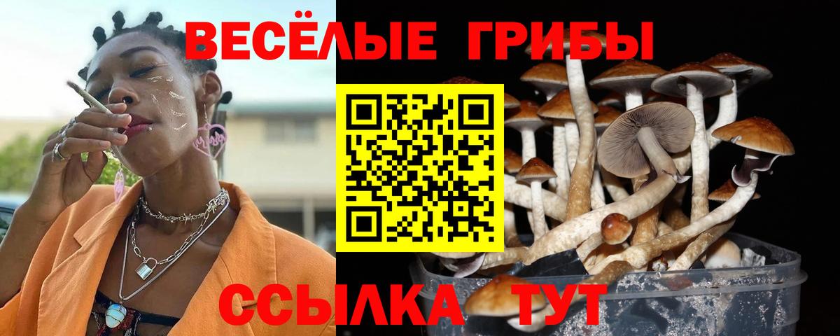 Галлюциногенные грибы MAGIC MUSHROOMS Приморско-Ахтарск